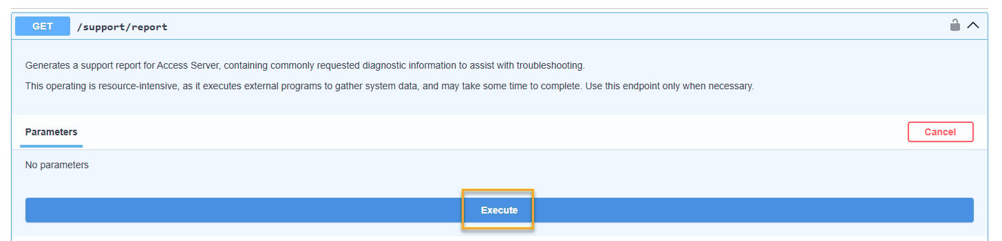 tech-support-report-API-execute.jpg
