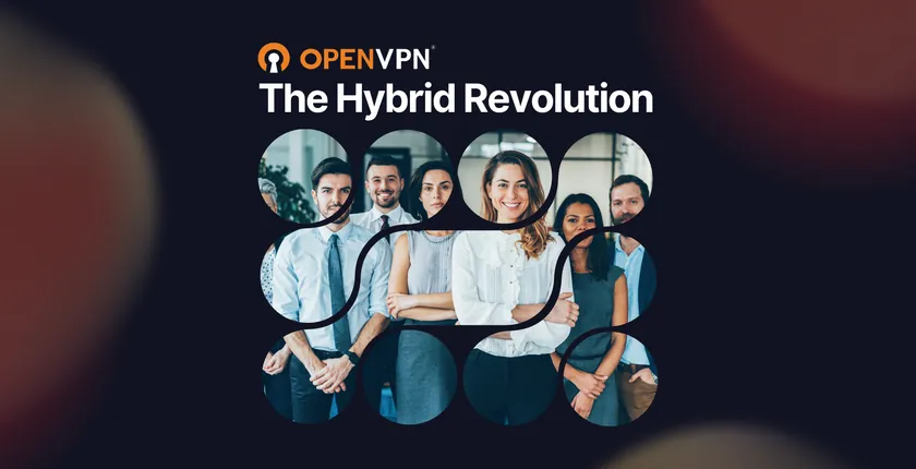 The Hybrid Revolution